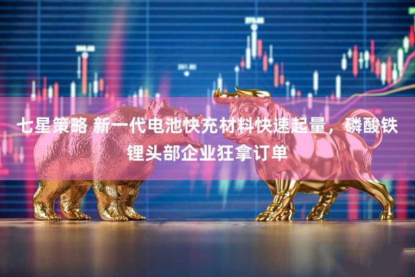 七星策略 新一代电池快充材料快速起量，磷酸铁锂头部企业狂拿订单