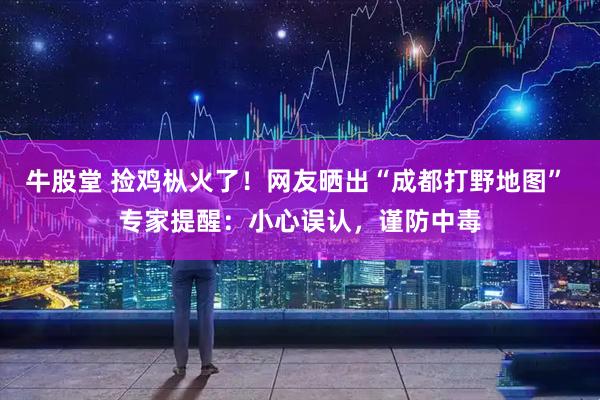 牛股堂 捡鸡枞火了！网友晒出“成都打野地图” 专家提醒：小心误认，谨防中毒
