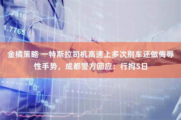 金橘策略 一特斯拉司机高速上多次别车还做侮辱性手势，成都警方回应：行拘5日