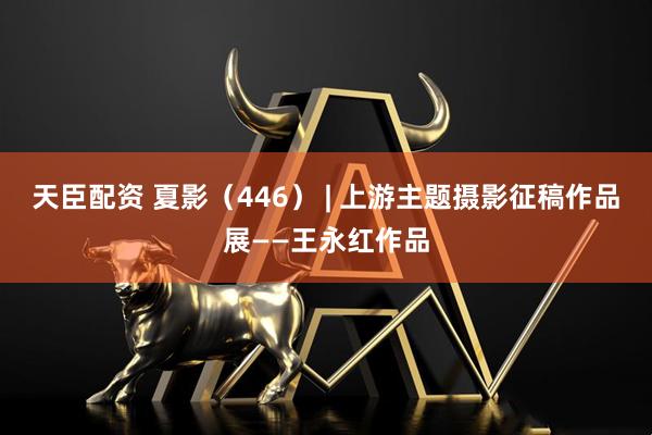 天臣配资 夏影（446） | 上游主题摄影征稿作品展——王永红作品
