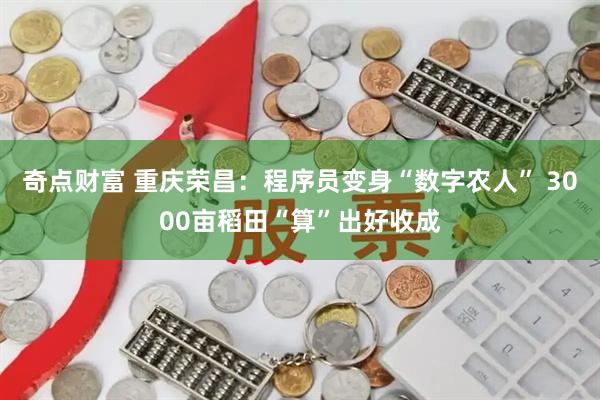 奇点财富 重庆荣昌：程序员变身“数字农人” 3000亩稻田“算”出好收成