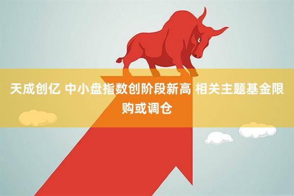 天成创亿 中小盘指数创阶段新高 相关主题基金限购或调仓