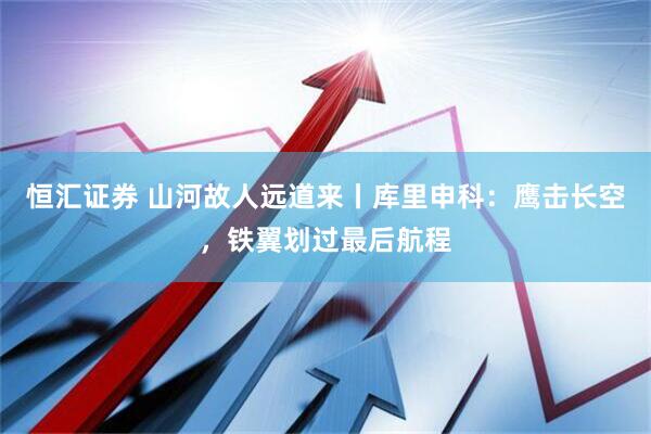 恒汇证券 山河故人远道来丨库里申科：鹰击长空，铁翼划过最后航程