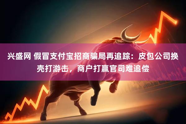 兴盛网 假冒支付宝招商骗局再追踪：皮包公司换壳打游击，商户打赢官司难追偿