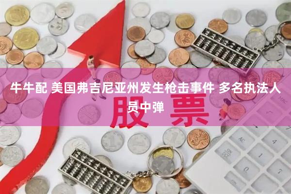 牛牛配 美国弗吉尼亚州发生枪击事件 多名执法人员中弹
