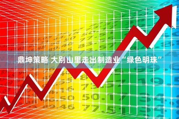 鼎坤策略 大别山里走出制造业“绿色明珠”