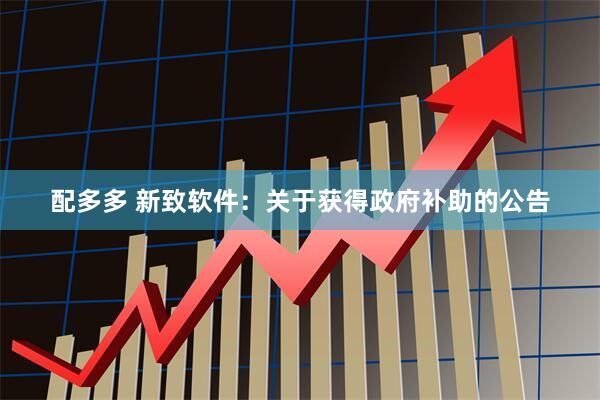配多多 新致软件：关于获得政府补助的公告