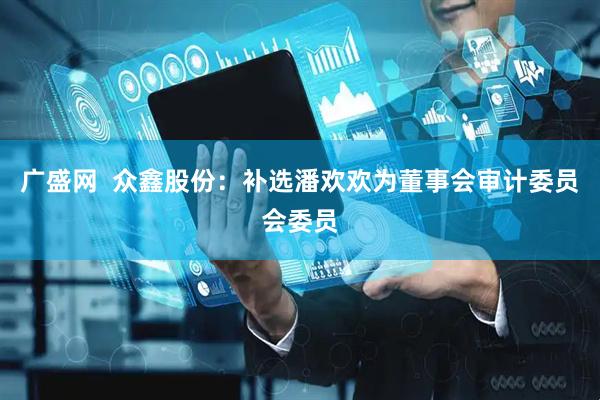 广盛网  众鑫股份：补选潘欢欢为董事会审计委员会委员