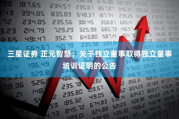 三星证券 正元智慧：关于独立董事取得独立董事培训证明的公告