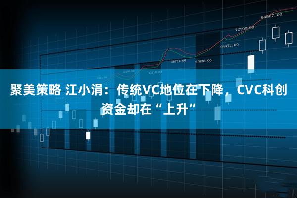 聚美策略 江小涓:传统VC地位在下降,CVC科创资金却在“上升”