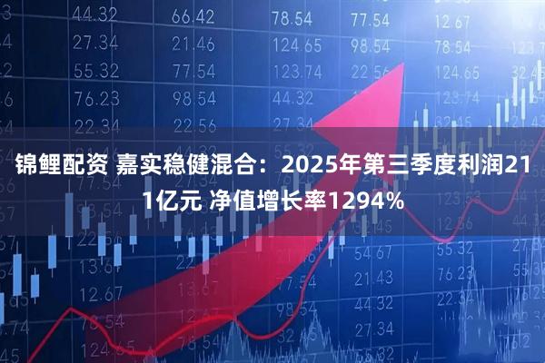 锦鲤配资 嘉实稳健混合：2025年第三季度利润211亿元 净值增长率1294%