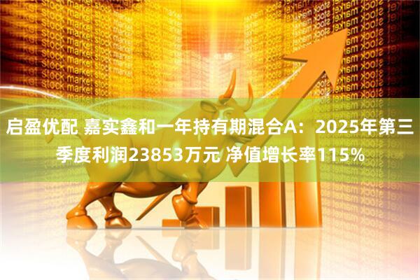 启盈优配 嘉实鑫和一年持有期混合A：2025年第三季度利润23853万元 净值增长率115%
